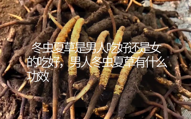 冬蟲夏草是男人吃好還是女的吃好，男人冬蟲夏草有什么作用