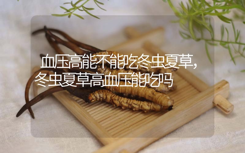 血壓高能不能吃冬蟲夏草，冬蟲夏草高血壓能吃嗎？