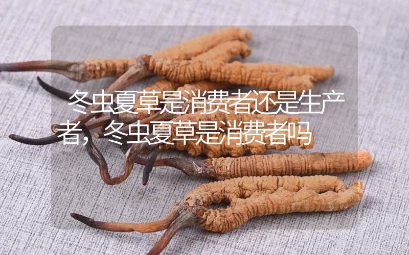 貧血吃冬蟲夏草有效果嗎，貧血虛弱者可以用冬蟲夏草嗎？