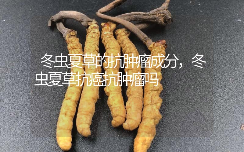 冬蟲夏草的抗腫瘤成分，冬蟲夏草抗癌抗腫瘤嗎？