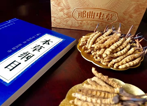 冬蟲夏草真就那么好嗎？它的主要功能是什么呀