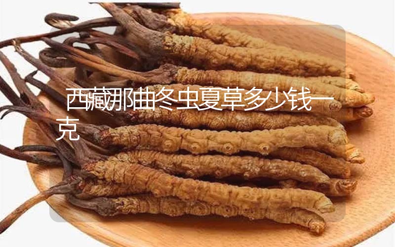西藏那曲冬蟲(chóng)夏草多少錢(qián)一克？