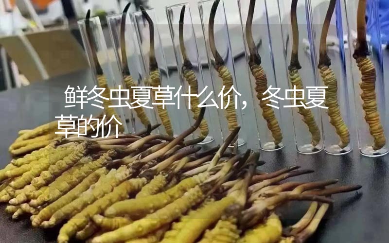 鮮冬蟲(chóng)夏草什么價(jià)，冬蟲(chóng)夏草的價(jià)格