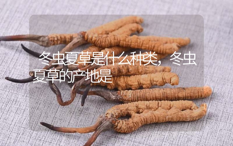 冬蟲夏草是什么種類，冬蟲夏草的產(chǎn)地是