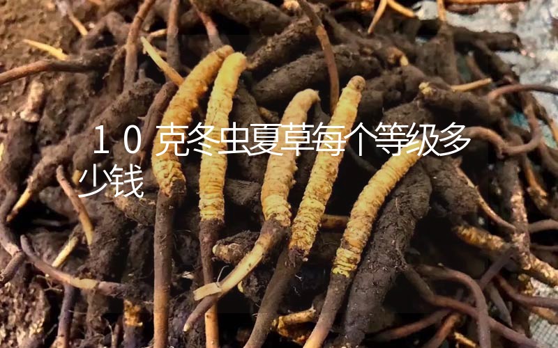 10克冬蟲夏草每個(gè)等級(jí)多少錢？