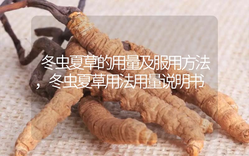 冬蟲夏草的用量及服用方法，冬蟲夏草用法用量