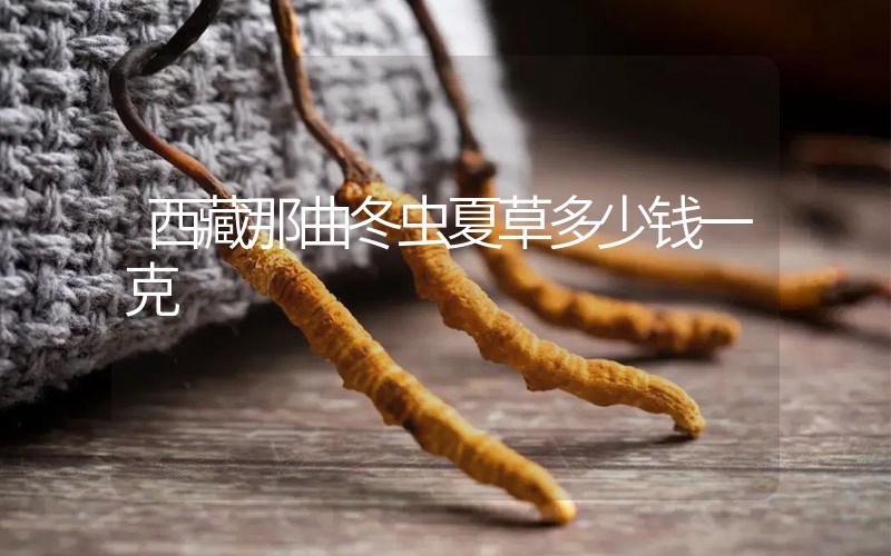 西藏那曲冬蟲(chóng)夏草多少錢(qián)一克？