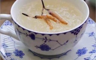 冬蟲夏草燉燕窩怎么做？