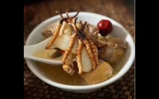 冬蟲(chóng)夏草蒸蛋怎么做？吃法大全！