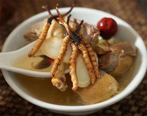 燉冬蟲(chóng)夏草可以加枸杞嗎？