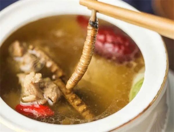 冬蟲夏草能吃嗎？冬蟲夏草可以怎么吃