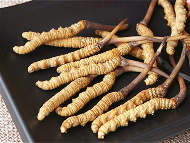 真的冬蟲夏草什么價(jià)格？影響冬蟲夏草價(jià)格波動(dòng)的3個(gè)關(guān)鍵因素
