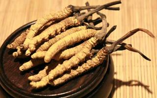 冬蟲夏草的價(jià)格一克：為何如此昂貴？