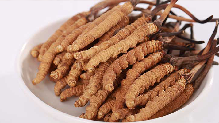 冬蟲(chóng)夏草燉水鴨，搭配這些食材更滋補(bǔ)