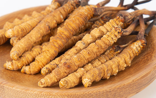冬蟲(chóng)夏草，真有那么大效果？