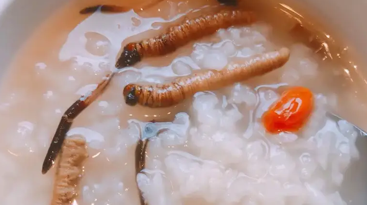 冬蟲夏草適合哪些人群？精準(zhǔn)匹配與禁忌提醒
