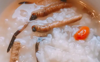 冬蟲(chóng)夏草適合哪些人群？精準(zhǔn)匹配與禁忌提醒