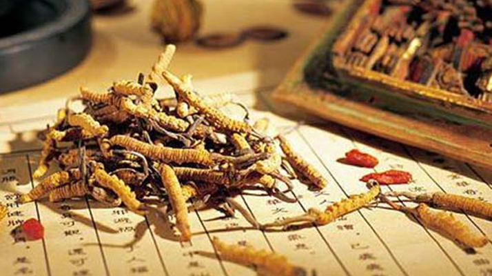 冬蟲夏草適合老人吃嗎？科學(xué)分析與食用建議