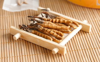 這些藥材形似冬蟲夏草，辨別要點需牢記