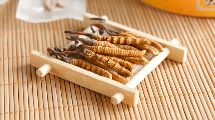  冬蟲(chóng)夏草效果好不好用？看適用場(chǎng)景與人群，理性看待才不踩坑