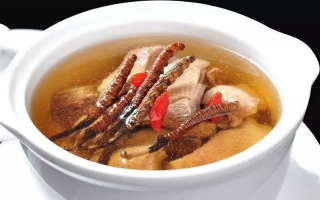 冬蟲夏草湯的正確熬制方法，營養(yǎng)與美味兼得