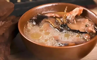 冬蟲(chóng)夏草治什么病效果好？厘清輔助調(diào)理邊界與適用場(chǎng)景