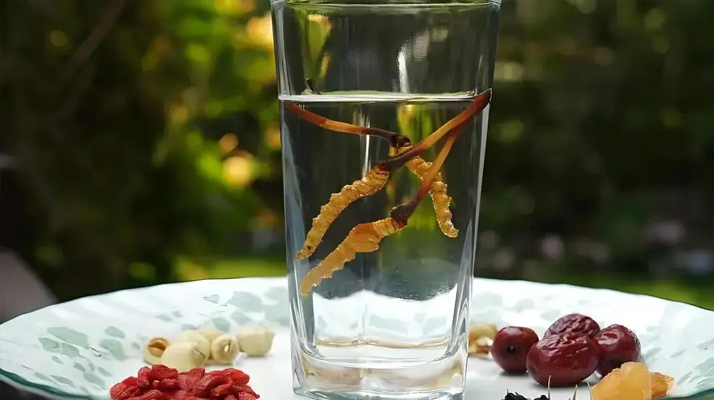 人參配蟲草泡酒，泡多久才好喝 