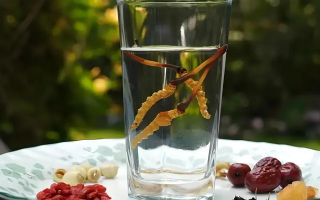 人參配蟲(chóng)草泡酒，泡多久才好喝？咱跟你說(shuō)實(shí)在的